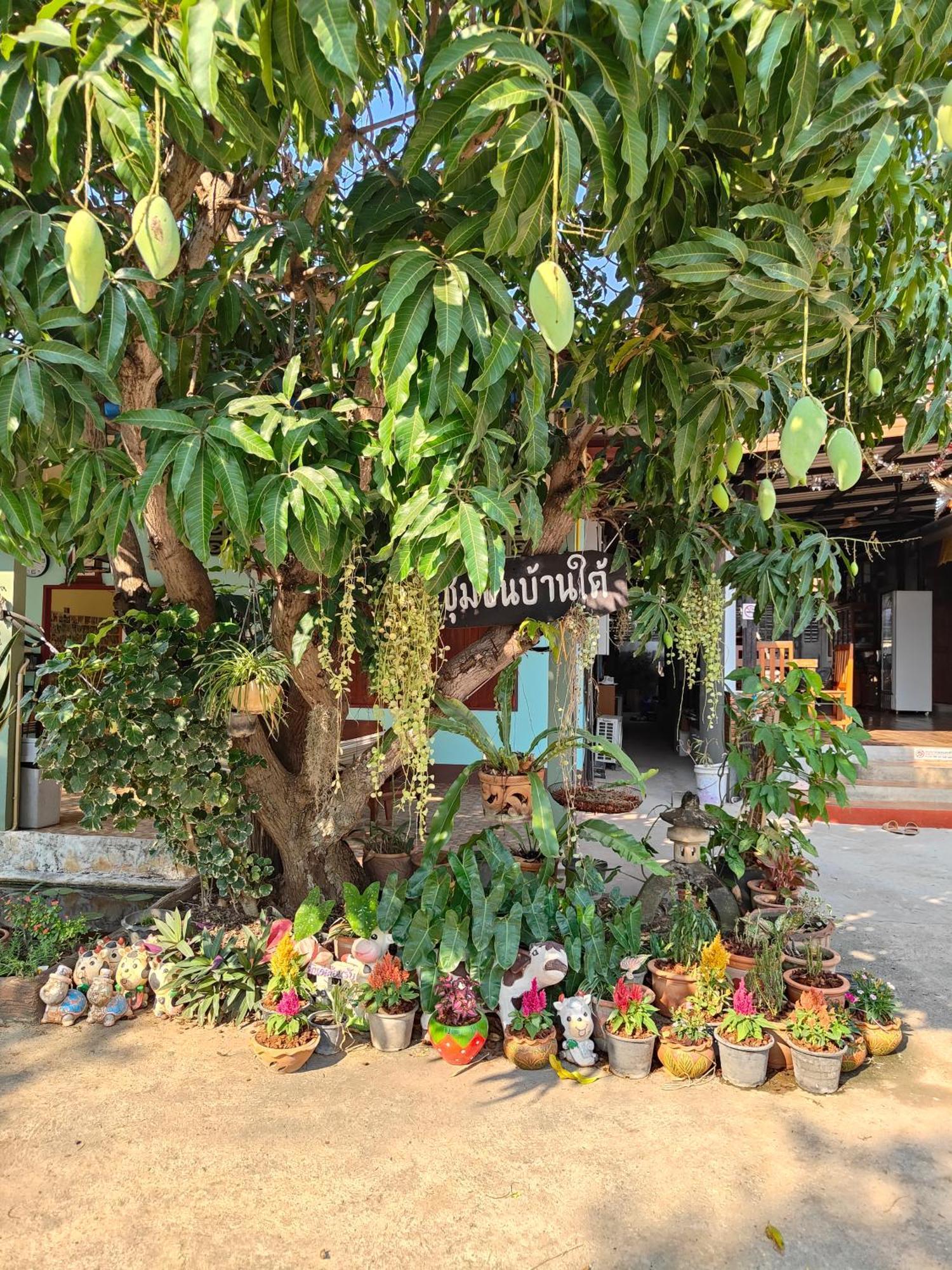 Smilingface Guesthouse Sukhothai Exteriör bild